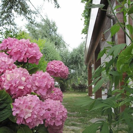 Uysallar Koy Evi Gokceada ภายนอก รูปภาพ